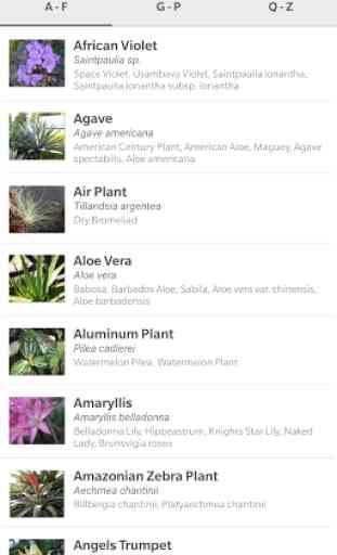 Indoor Plant Guide Pocket Edition 2