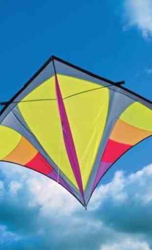 Unique Kite Design 2