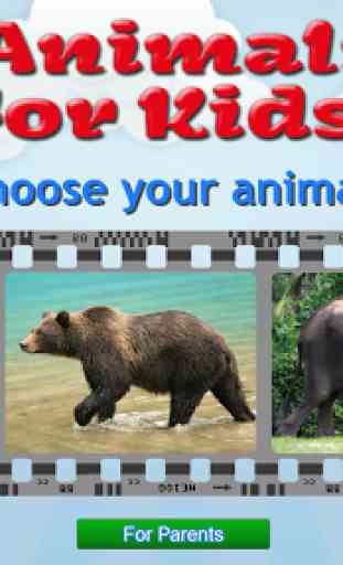Animals for Kids - Flashcards 1