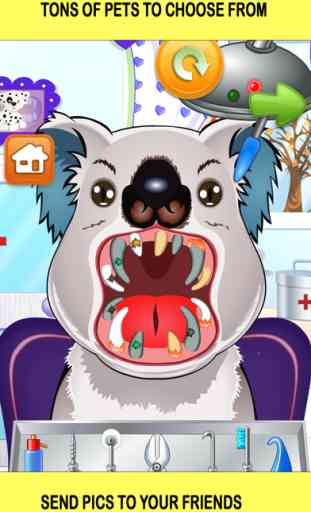 Pet Vet Dentist Doctor - Games for Kids Free 2