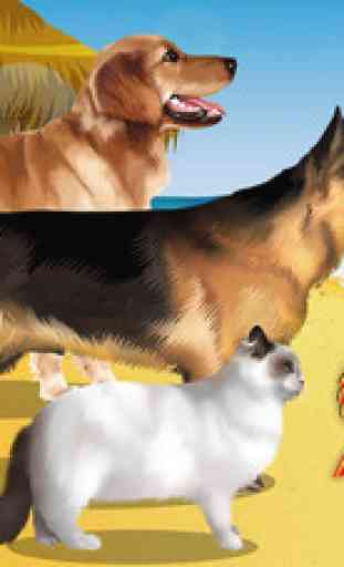 Pet Vet Doctor 2 - Dog & Cat Rescue! Animal Hospital 4