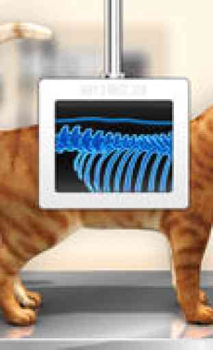 Pet Vet Doctor - CATS Rescue™ 2
