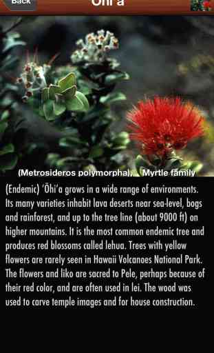 Plants of Hawaii Volcanoes National Park 2
