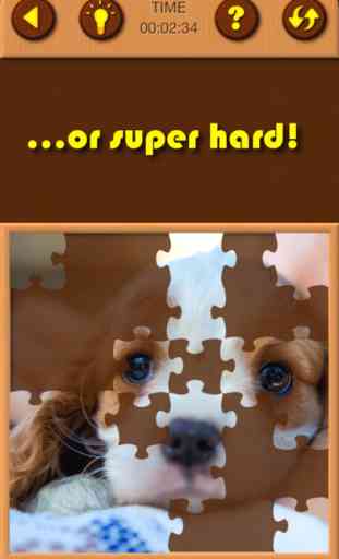 Puppy Pet Jigsaw Puzzle Cute Baby Dog Animal Games 4