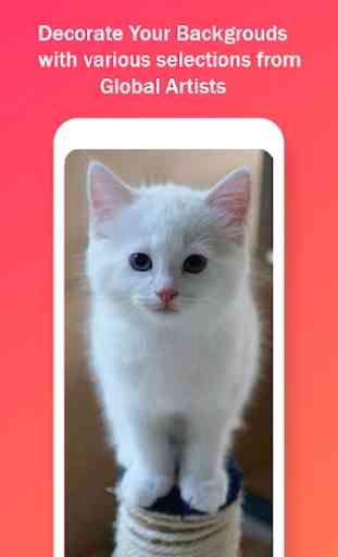 Cute Cat HD Wallpapers 2