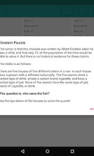 Einstein Puzzle 4