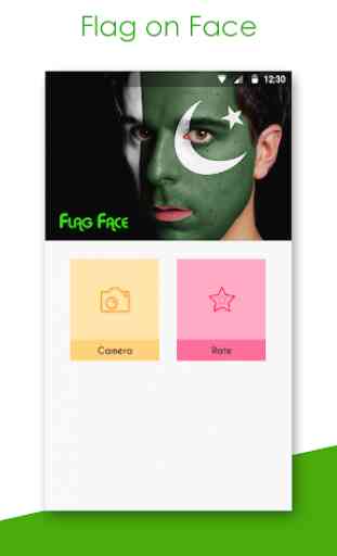 FlagFace - Pakistan PaintFace 1