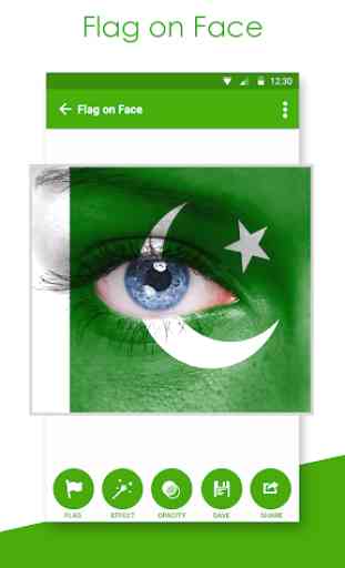 FlagFace - Pakistan PaintFace 4