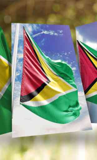 Guyana Flag Wallpaper 1