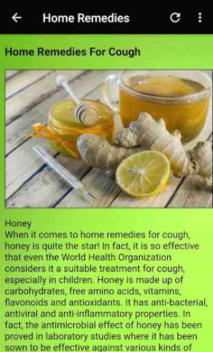 Home Remedies and Natural Cures Offline 4