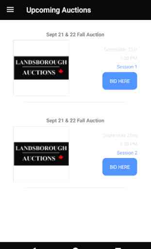 Landsborough Auctions 1