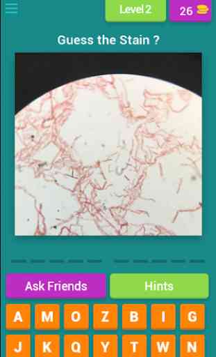 Microbiology quiz; plate reading app. 2