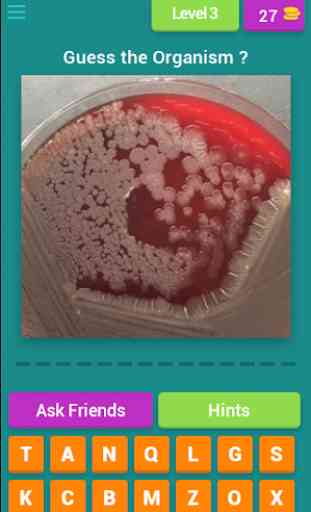 Microbiology quiz; plate reading app. 3