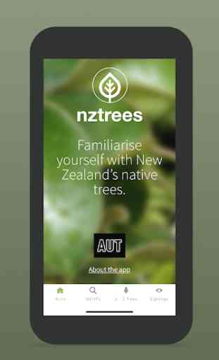 NZ Trees 1