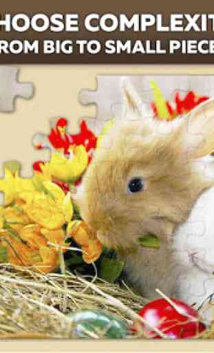 Rabbit Jigsaw puzzles 1