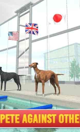 Swimming Pool Dog Racing – Wild Animal Simulator 1