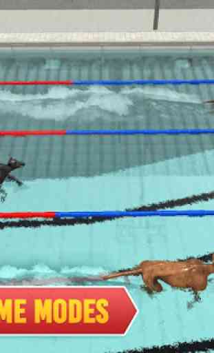 Swimming Pool Dog Racing – Wild Animal Simulator 2