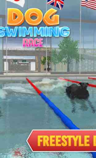 Swimming Pool Dog Racing – Wild Animal Simulator 3