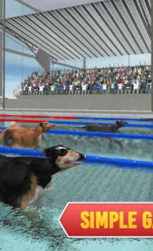 Swimming Pool Dog Racing – Wild Animal Simulator 4
