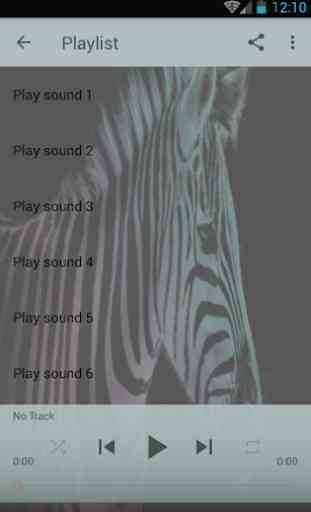 Zebra sounds 1