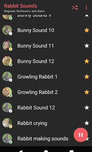 Appp.io - Rabbit and Bunny Sounds 3