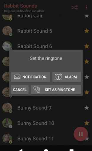 Appp.io - Rabbit and Bunny Sounds 4