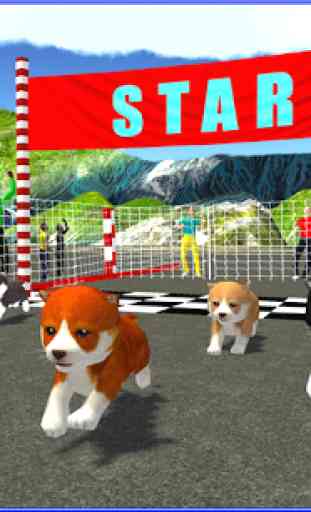 Cute Puppy Dog Racing Sim 2017 1