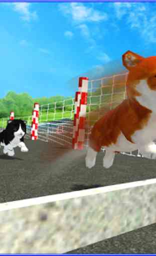 Cute Puppy Dog Racing Sim 2017 2