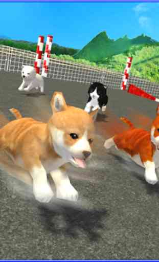 Cute Puppy Dog Racing Sim 2017 3