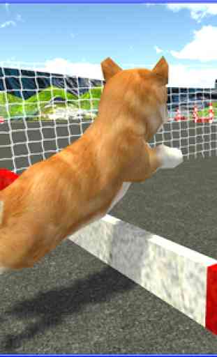 Cute Puppy Dog Racing Sim 2017 4