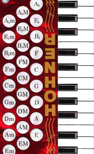 Hohner Piano Accordion 1