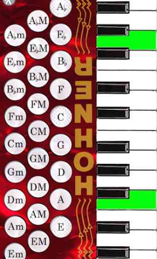 Hohner Piano Accordion 2
