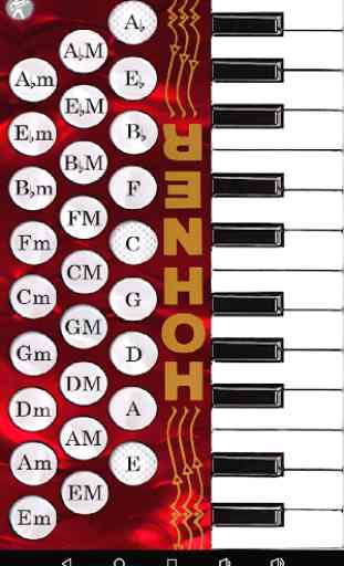 Hohner Piano Accordion 3