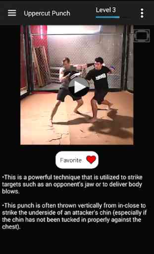 KickBoxing Training - Offline Videos 4