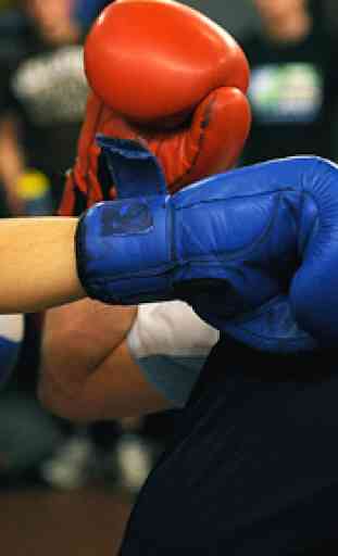 Learn Kick Boxing 1