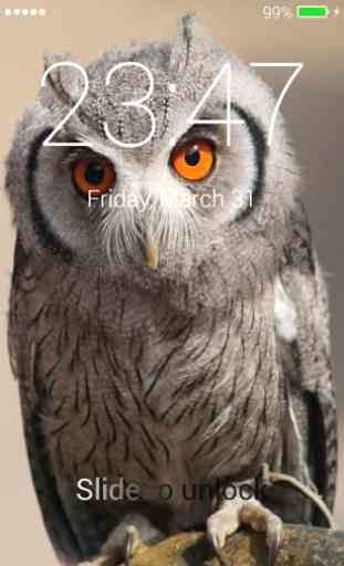 Owl Lock Screen 1