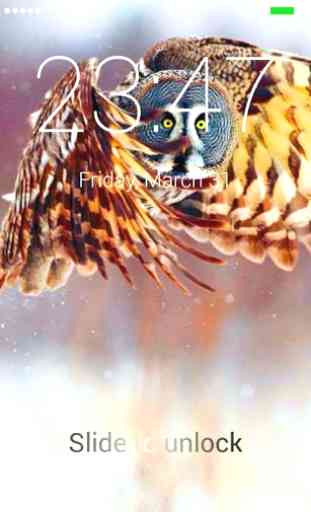 Owl Lock Screen 2