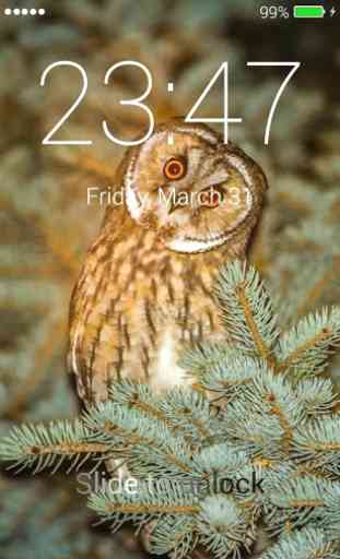 Owl Lock Screen 3