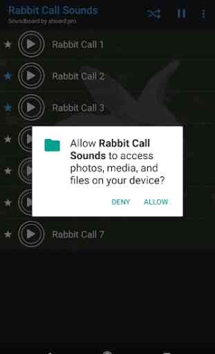 Rabbit call sounds ~ Sboard.pro 2