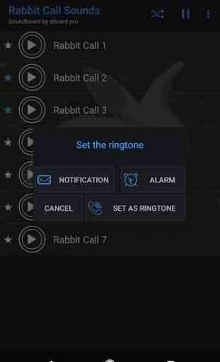 Rabbit call sounds ~ Sboard.pro 3