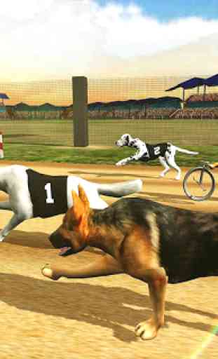 Real Dogs Racing Rabbit Hunter Greyhound Simulator 2