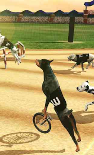 Real Dogs Racing Rabbit Hunter Greyhound Simulator 3