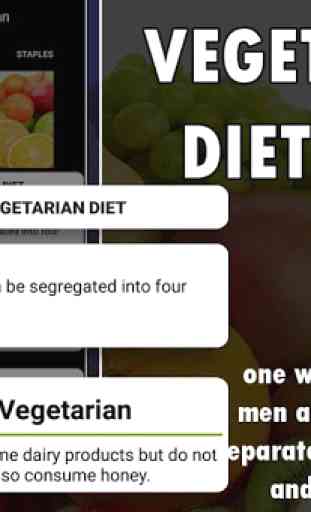 Vegetarian Diet Plan 3