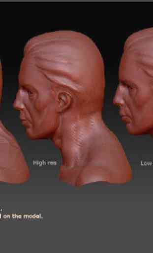 3D Zbrush Reference 3