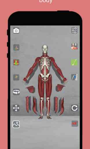 Corporis Anatomy | Interactive 3D Human Body Atlas 1