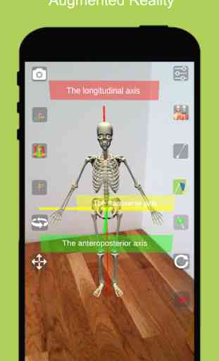 Corporis Anatomy | Interactive 3D Human Body Atlas 3