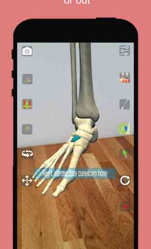 Corporis Anatomy | Interactive 3D Human Body Atlas 4