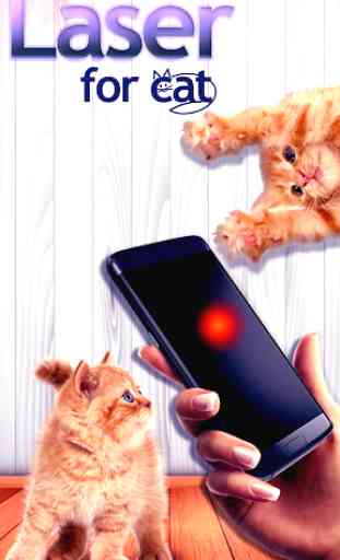Laser game for cats 1