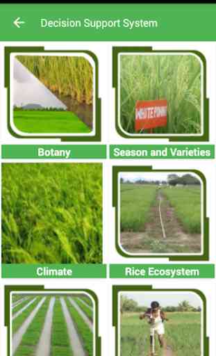 Paddy Expert System 3