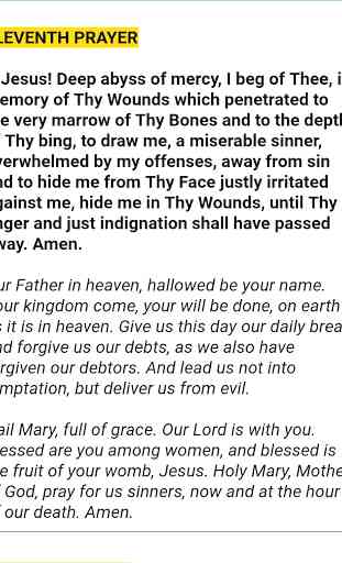 The 15 Prayers of St. Bridget 4
